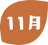 11月